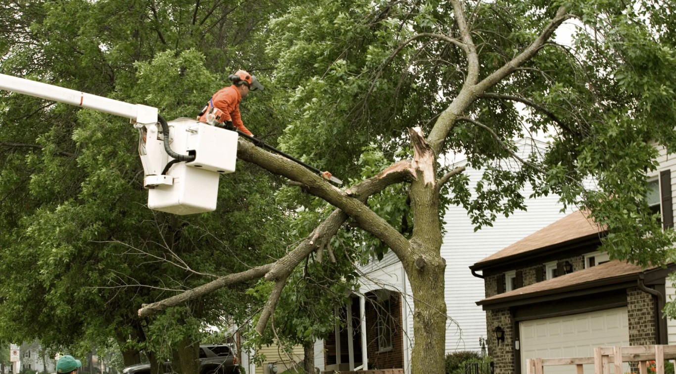 Emergency Tree Removal service in Casa Grande, AZ