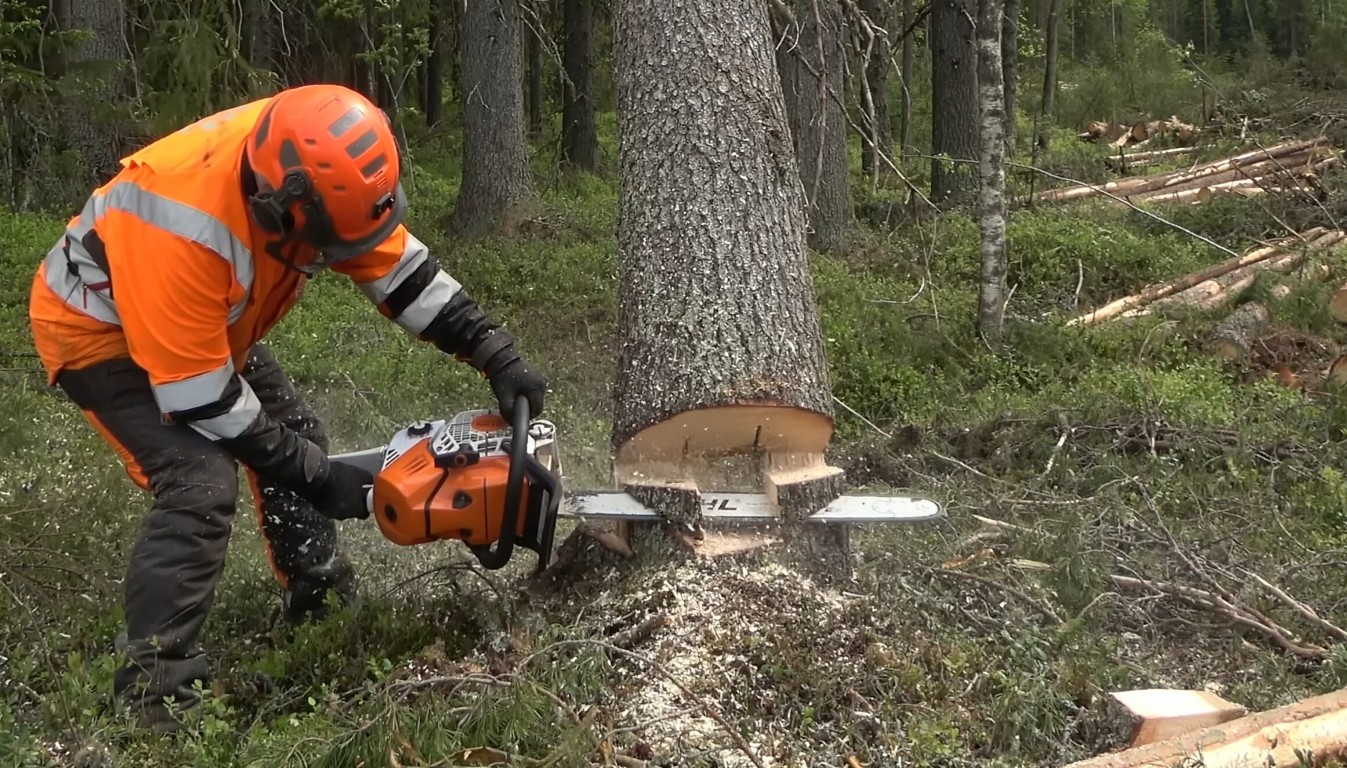 Storm Cleanup & Debris Removal service in Casa Grande, AZ